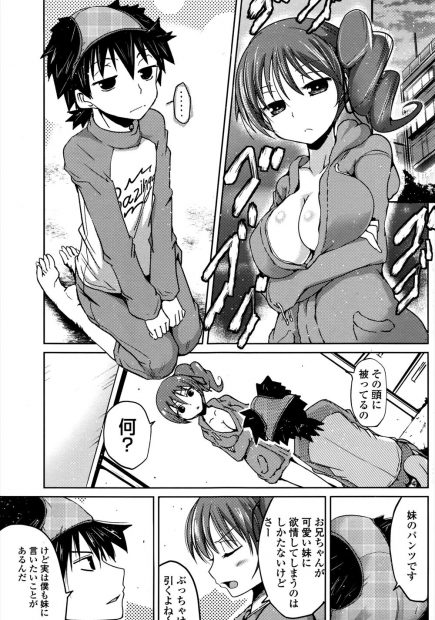 【エロ漫画】妹のパンツを被る兄は兄のパンツを穿く妹にお仕置きされる。実妹の巨乳に扱かれて射精してしまうが、妹も兄のおちんちんで発情してしまい、どうやらおマンコをお仕置きされたいらしい