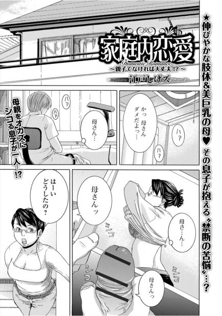 【エロ漫画】お互いをこっそり愛している母と息子はそれぞれオナニーだけじゃ我慢できず、変装して相手とセックスをする事に。巨乳で眼鏡の美人ママを犯す為、他人のフリまでして近親相姦をしてしまう
