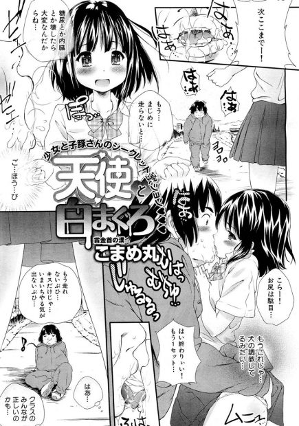 【エロ漫画】つるぺたロリなJKがエッチなご褒美をくれるから、ダイエットを頑張るキモデブだったけど、その貧乳おっぱいやパイパンマンコを犯すことばかり考えて、69でフェラチオをさせながらおマンコをクンニし、彼女をおチンポ好きの雌オナホに変えてしまう
