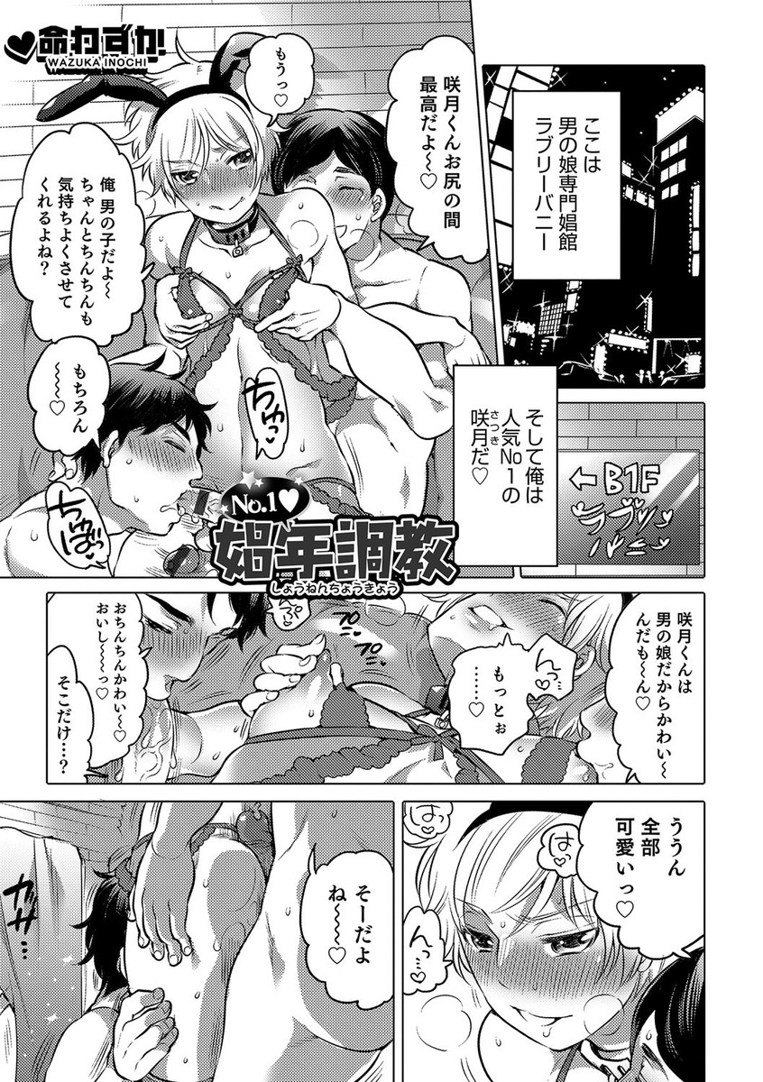 【エロ漫画】娼年として働く男の娘達。互いにライバル視する彼らは、客を悦ばせる為にアナルファックで本番乱交エッチをする事に。エロ下着でお尻を犯され、尿道姦でおちんちんを弄られて。お尻も尿道もガバガバになるまで拡張されて肉便器になっちゃった
